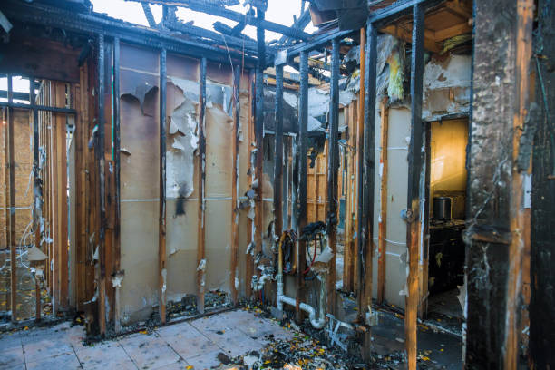 Professional Fire Damage Removal technician working in Cooksville, MD
