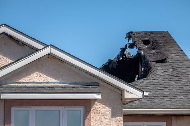 Top rated local Fire Damage Removal specialists in Cooksville, MD